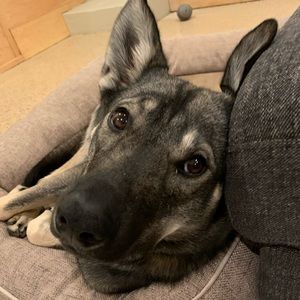 Meet your Posher, Bernice